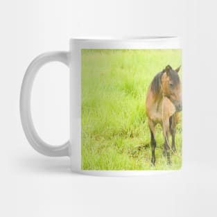 hli bay horse Mug